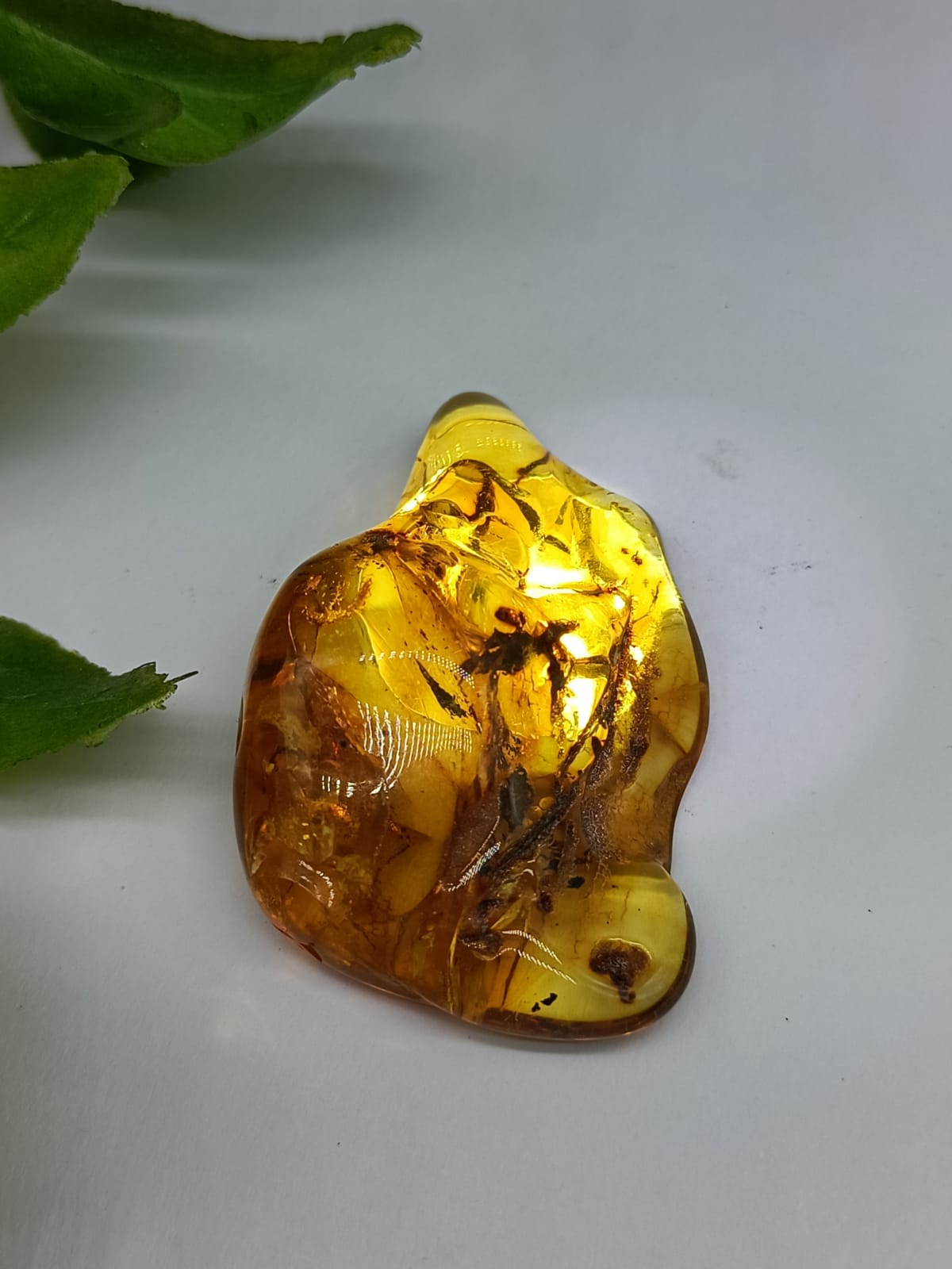 Baltic Amber Polished

