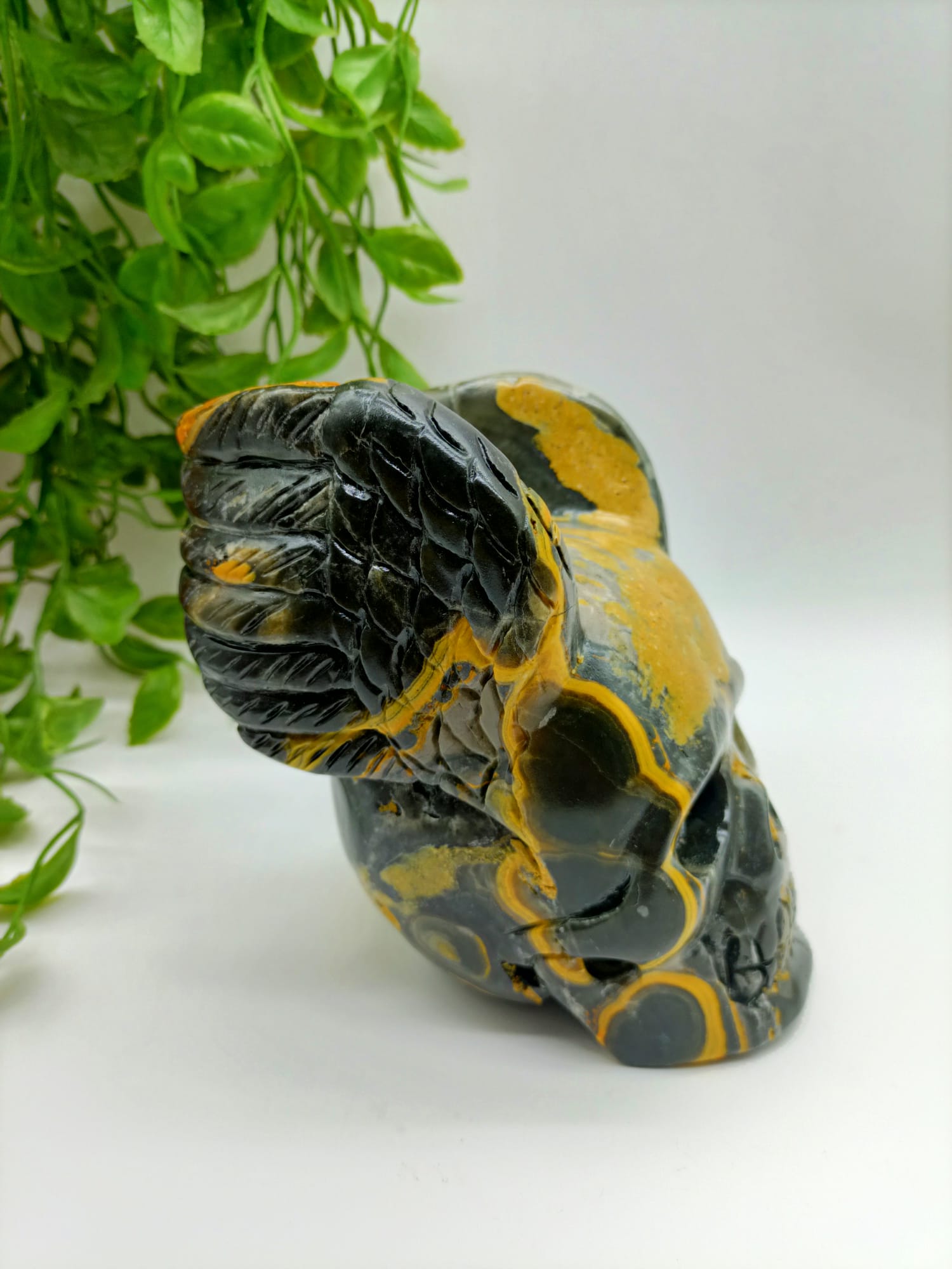 Bumblebee Jasper Skull with Wings 1.554 Kgs (Special 30% OFF)

