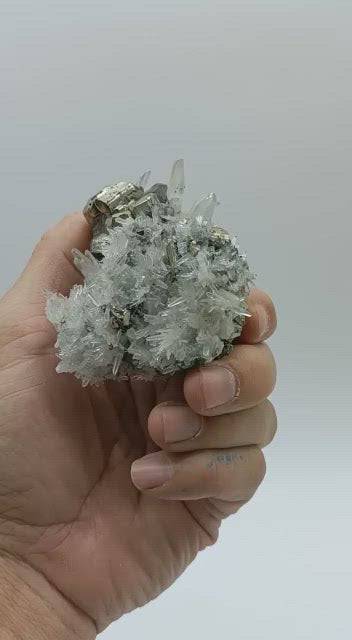 Pyrite in Quartz Cluster 224 Grams