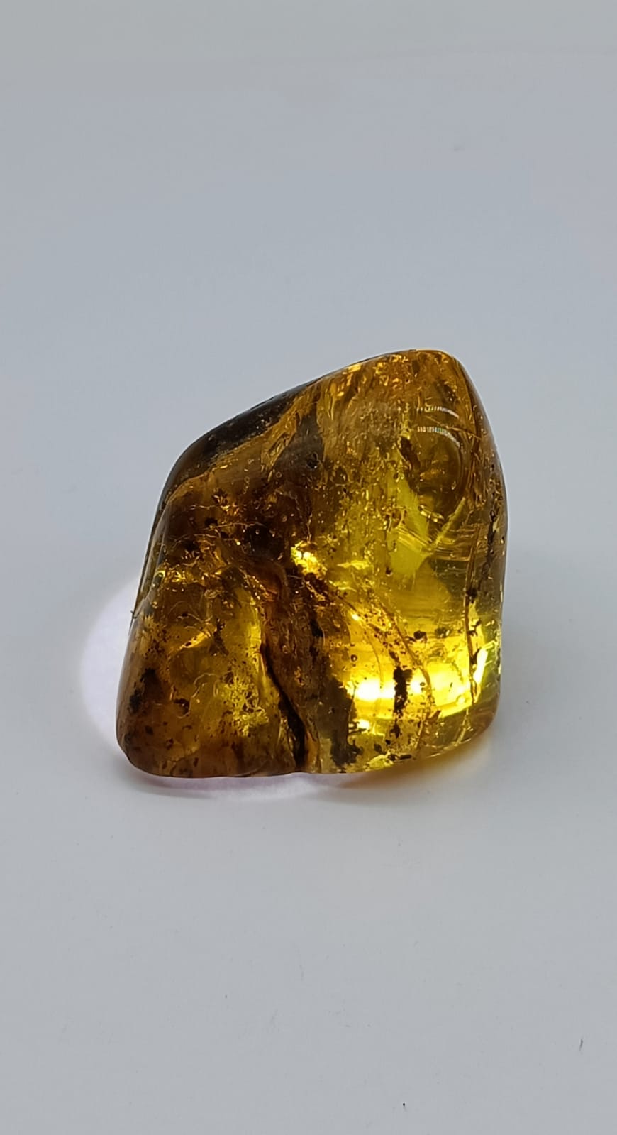 Baltic Amber Polished 16.60g Crystal Wellness