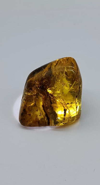Baltic Amber Polished 16.60g Crystal Wellness