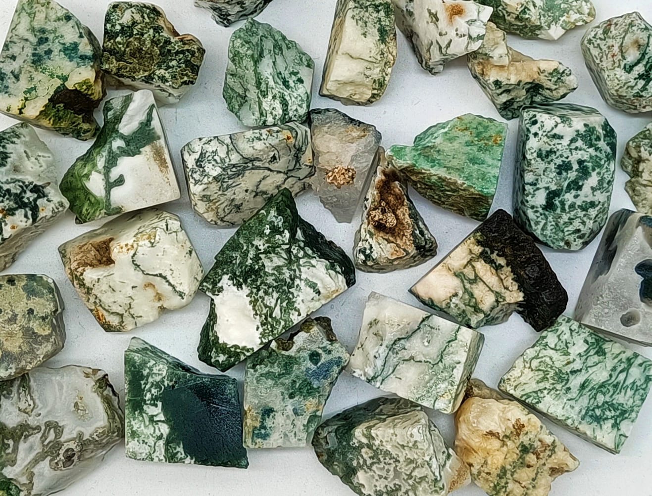 Tree agate best sale