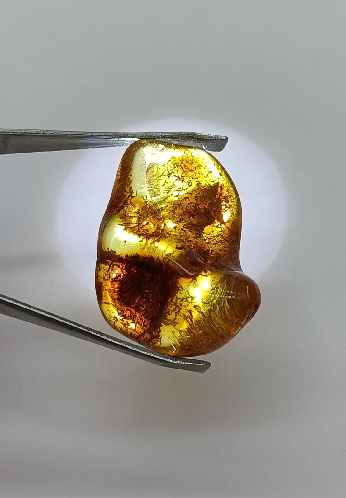 Genuine Baltic Amber Polished Crystal Wellness