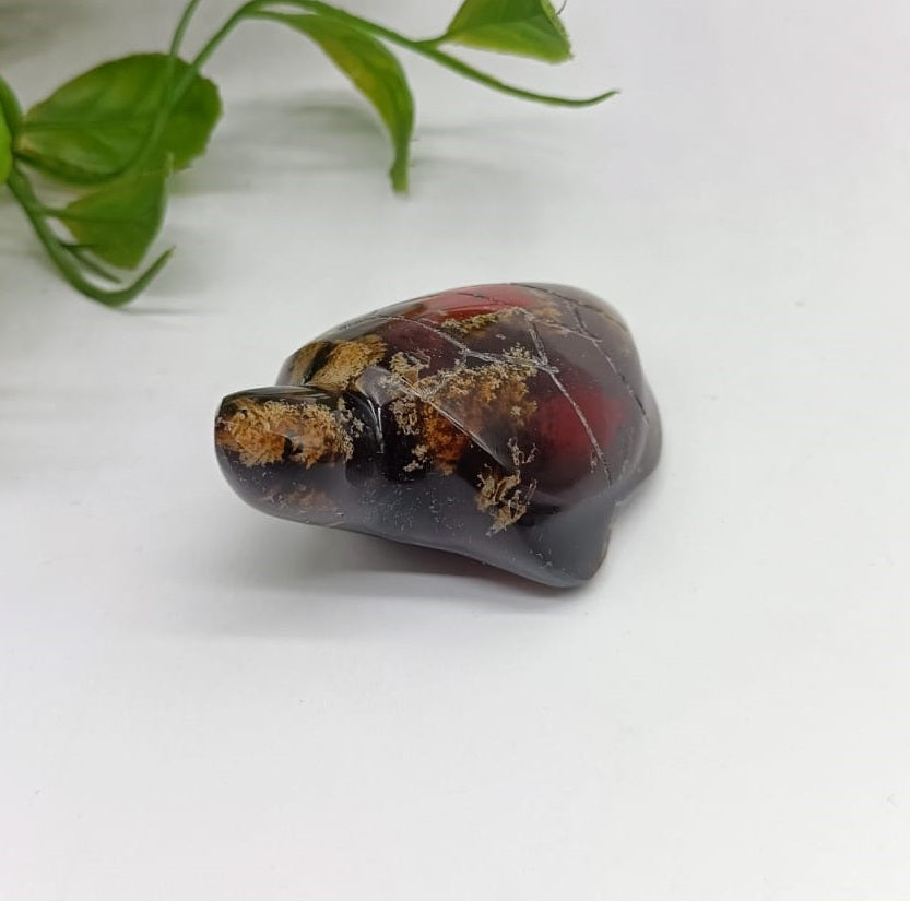 Rare Sumatra Amber in Turtle 6.5x4.5cm

