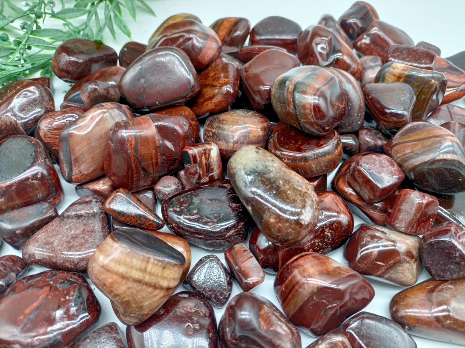 Red Tiger Eye Tumbled Stone Crystal Wellness