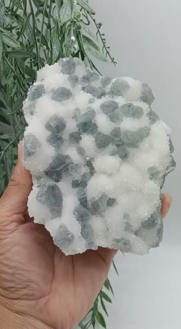 Symbiosis Natural Rare Quartz and Fluorite Specimen 980g