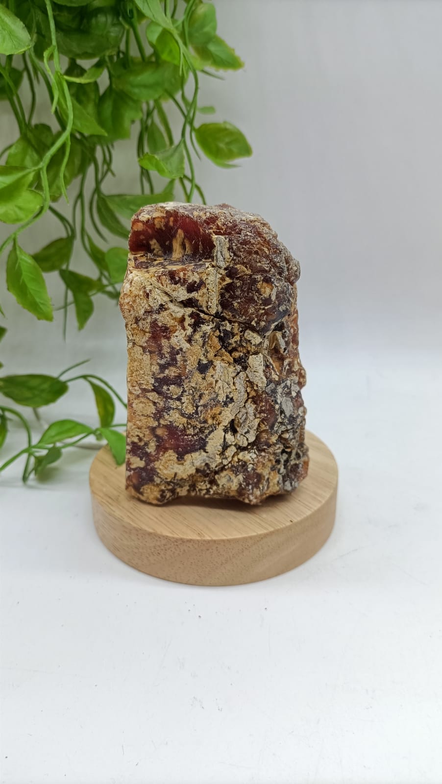 Rare Sumatra Raw Amber 161g 10x7x4cm

