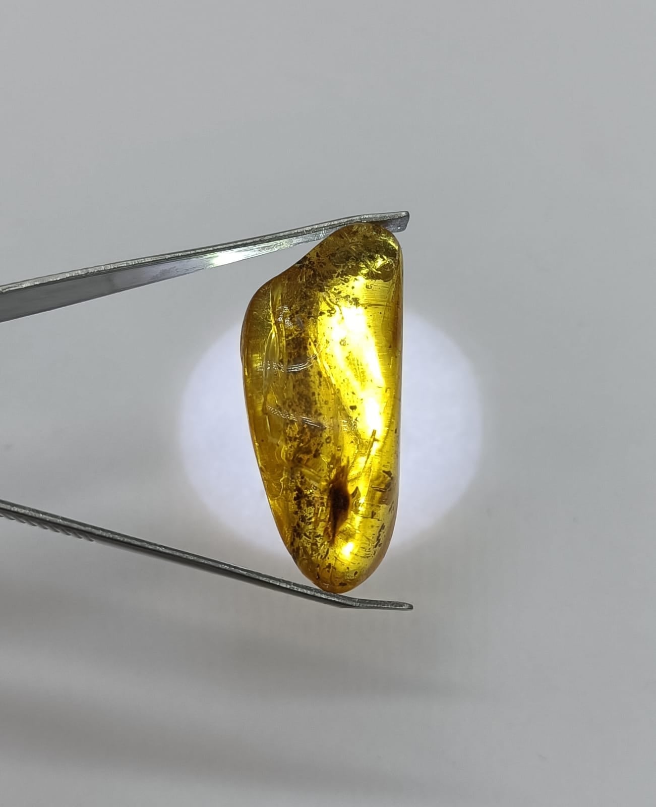 Genuine Baltic Amber Polished Crystal Wellness