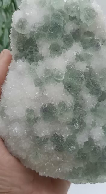 Symbiosis Natural Rare Quartz and Fluorite Specimen 627g