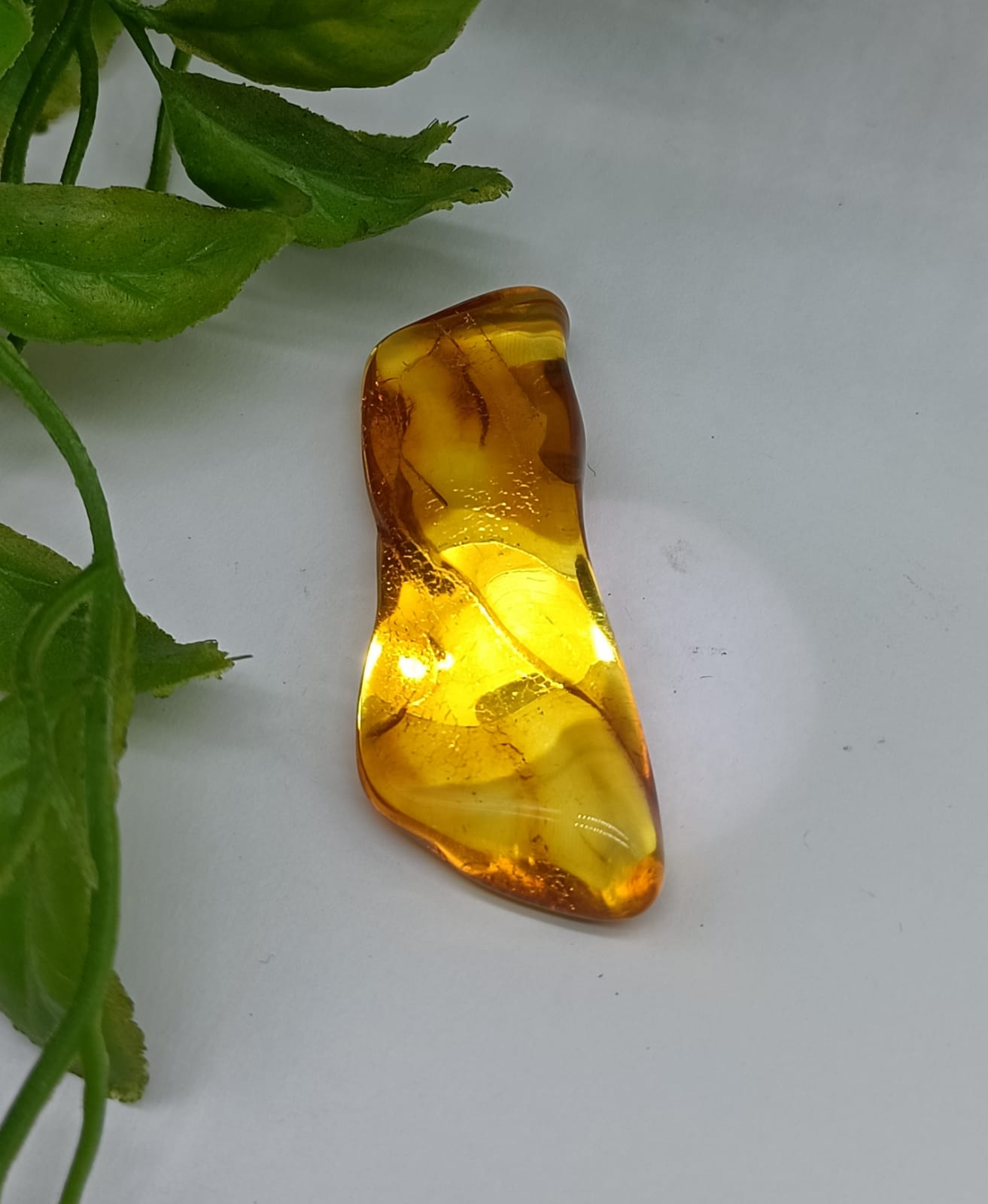 Baltic Amber Polished

