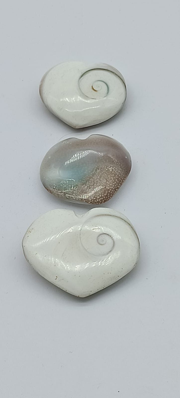 Find out what is beneficial of Operculum Shell from Crystal Wellness