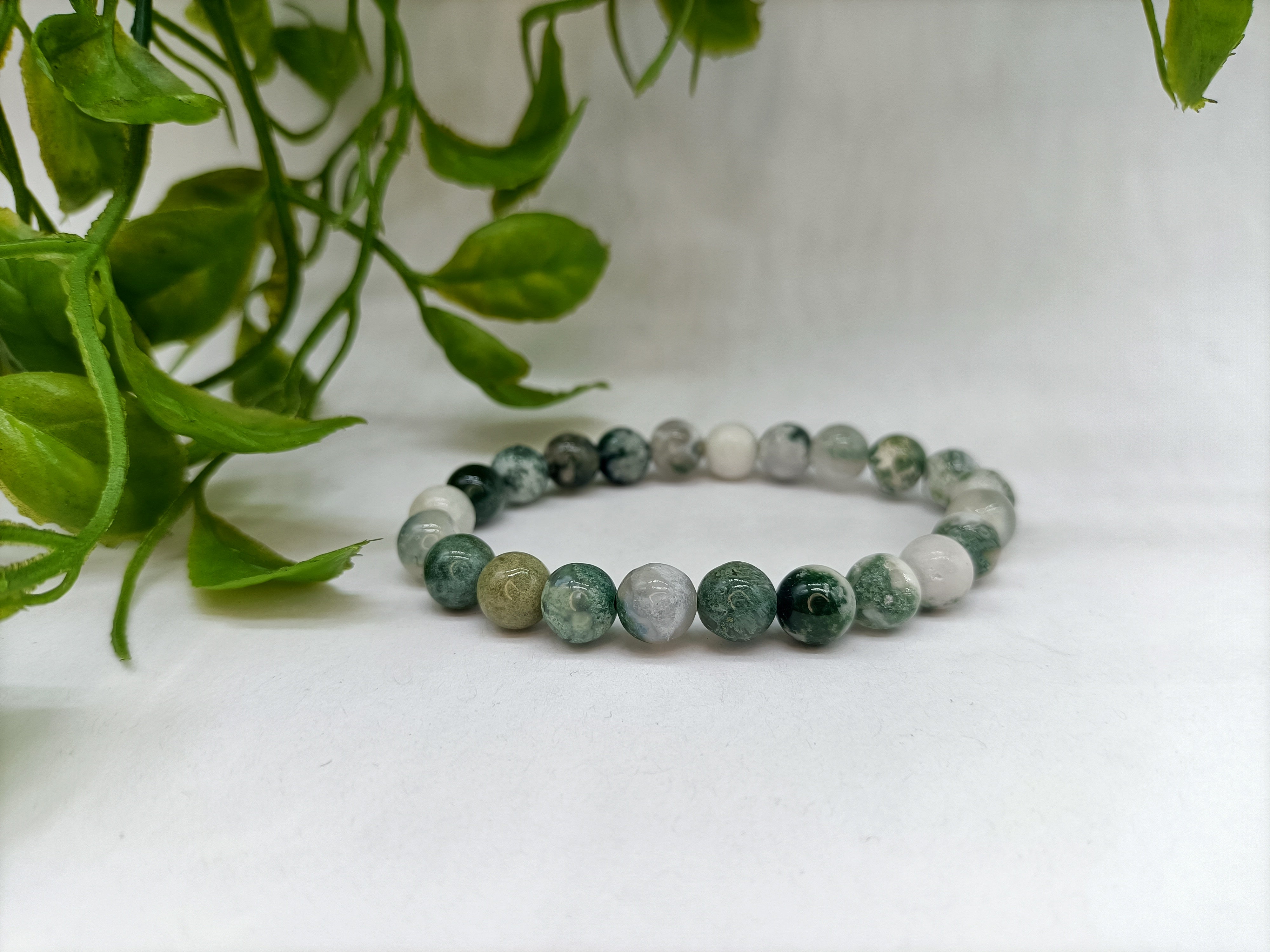 Tree hotsell agate bracelet
