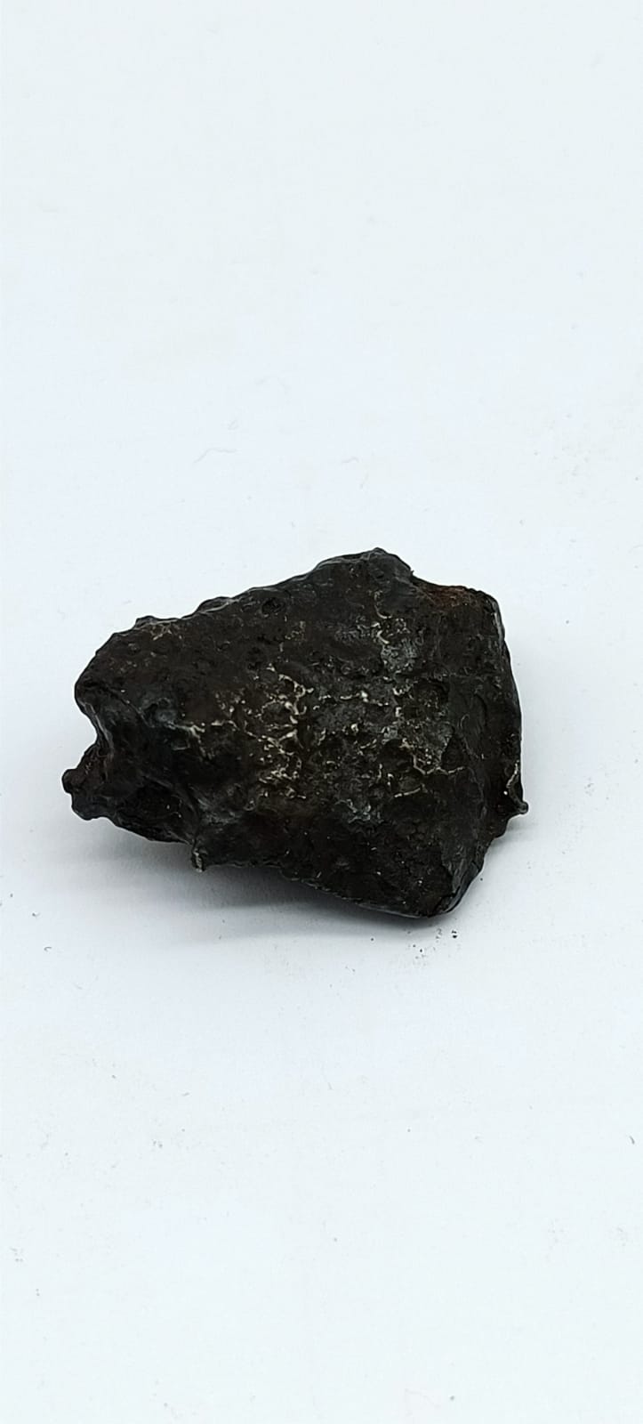 Sikhote-Alin Iron Meteorite 23.57 Grams
