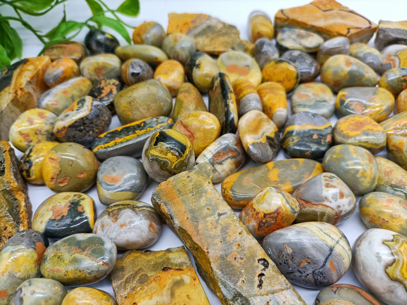 Bumblebee Jasper Tumbled Stones

