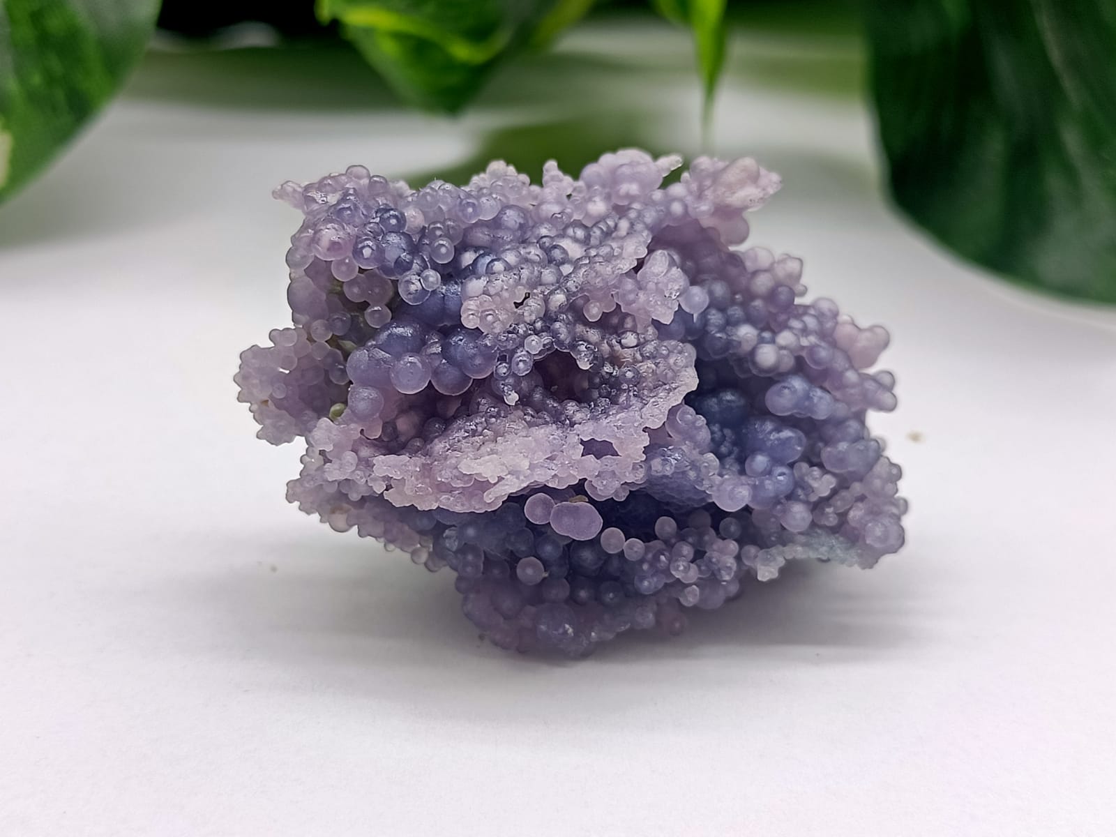 Grape Agate AAA Grade Clusters (RARE) Crystal Wellness