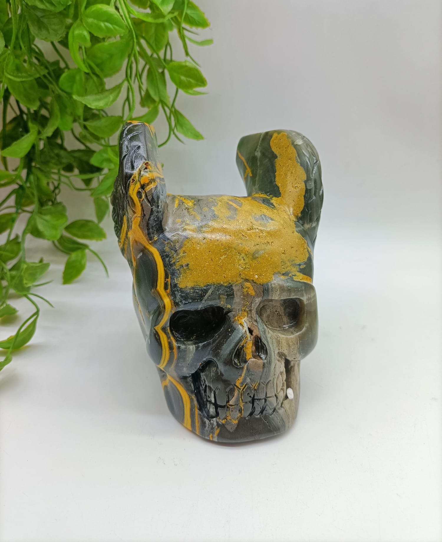Bumblebee Jasper Skull with Wings 1.554 Kgs (Special 30% OFF)

