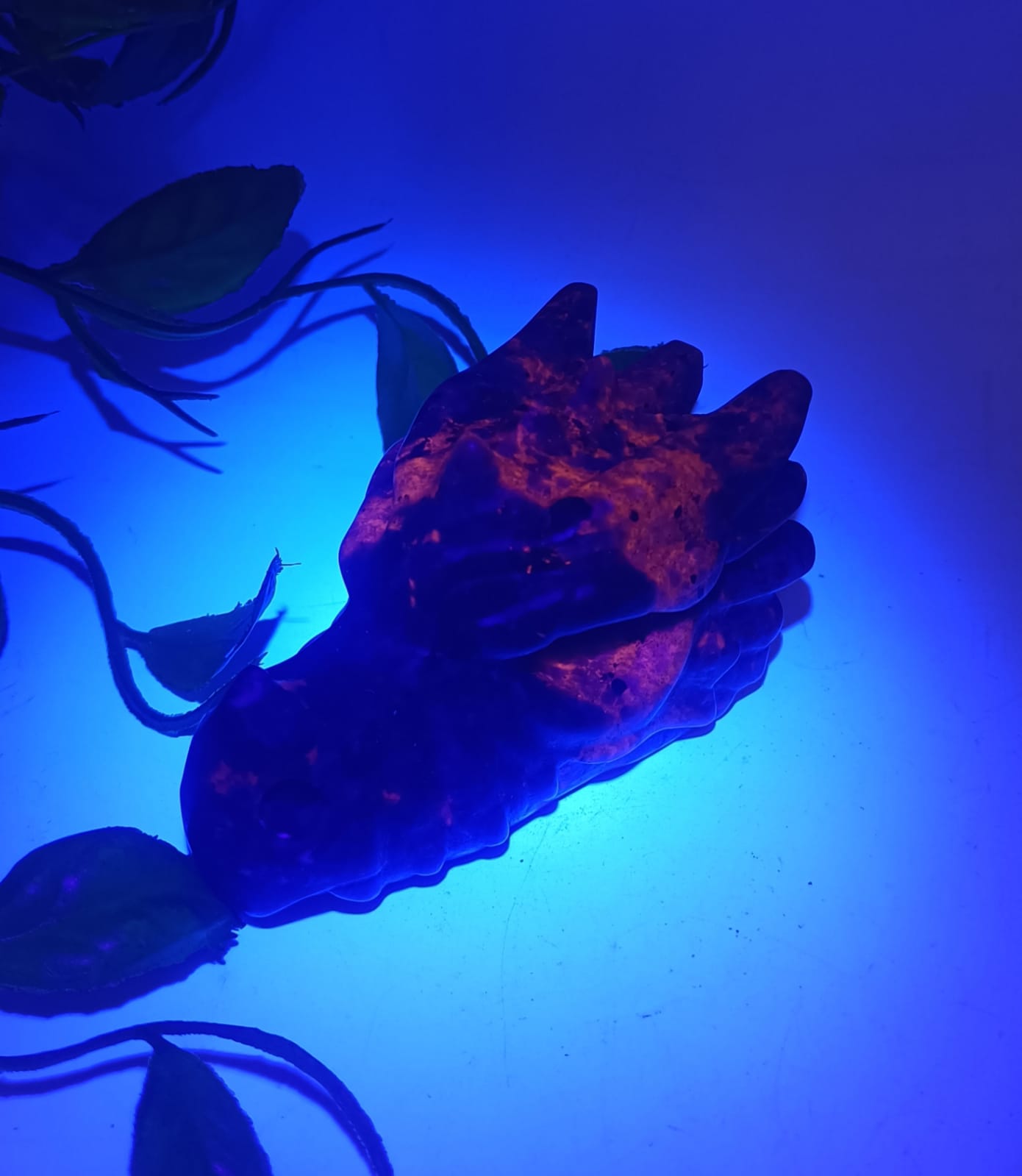 Yooperlites the Glowing Dragon 191g 8x4x4cm

