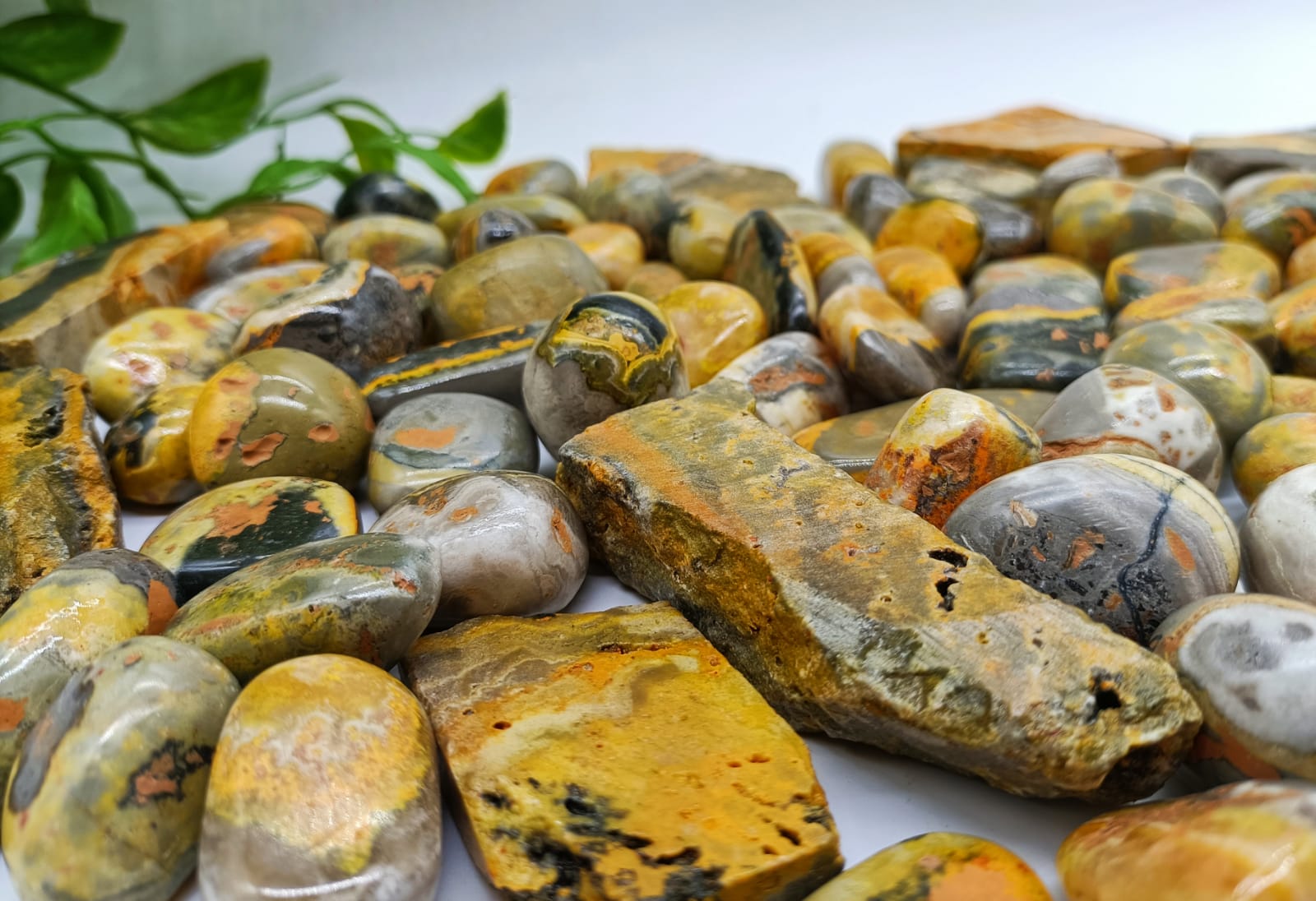Bumblebee Jasper Tumbled Stones

