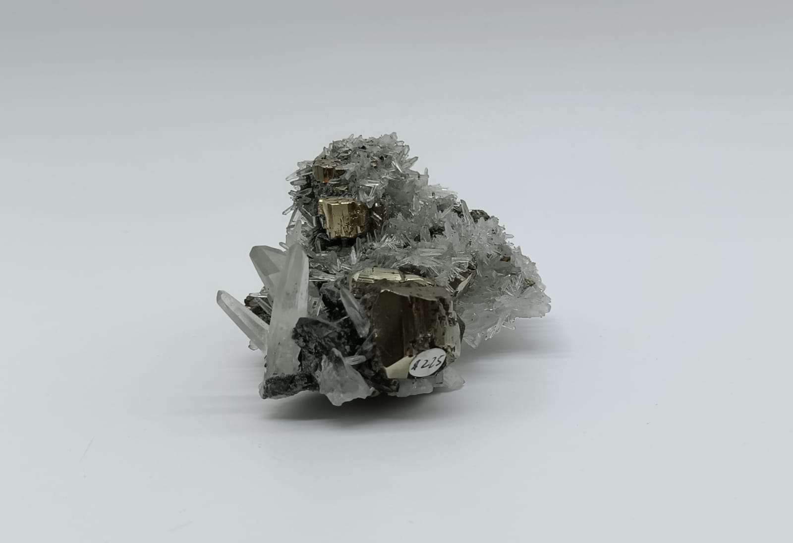 Pyrite in Quartz Cluster 224 Grams