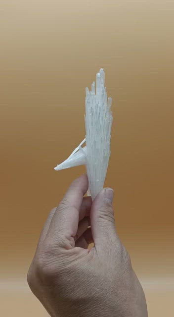 Scolecite 80g 135mm x 40mm