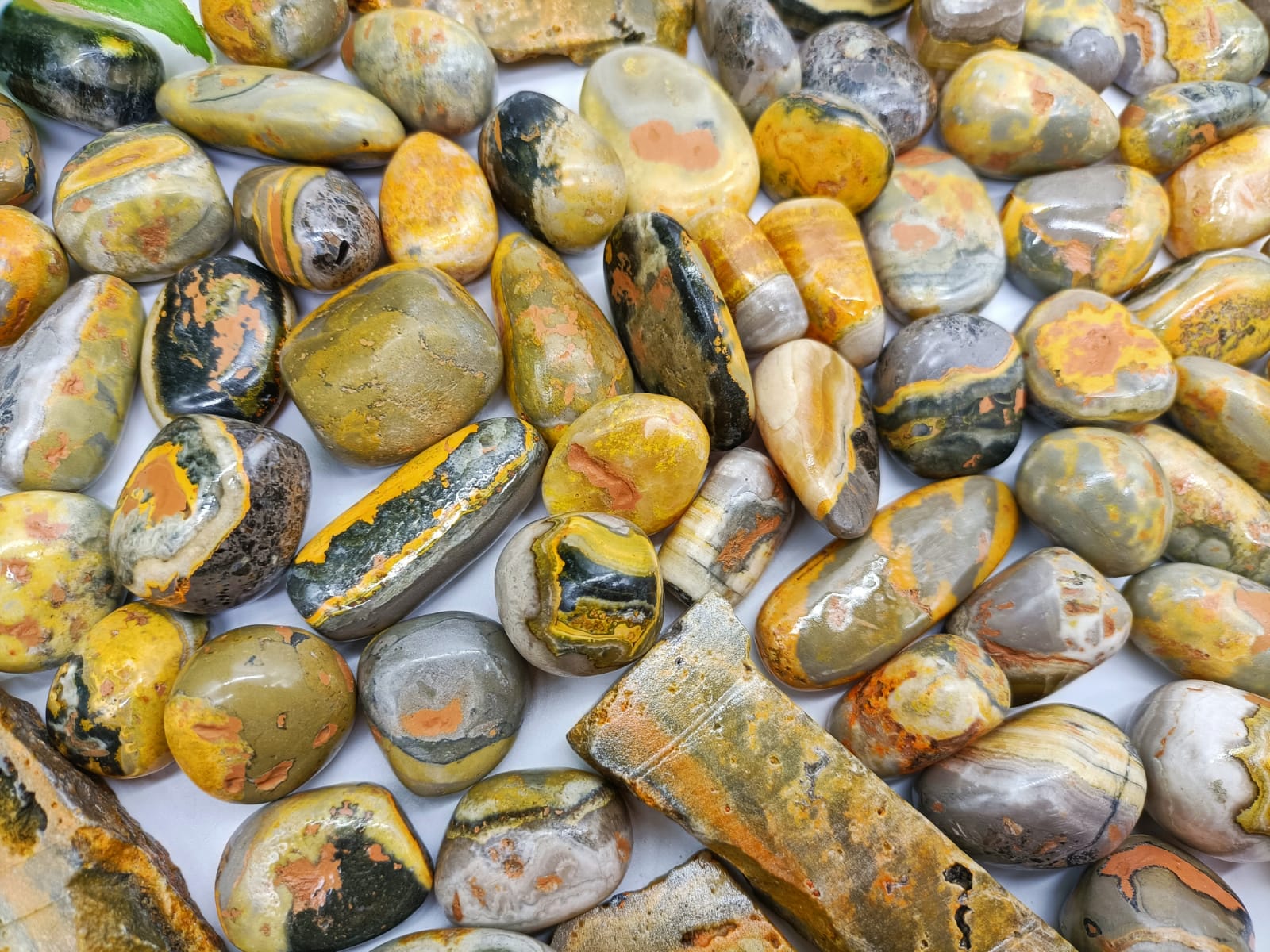 Bumblebee Jasper Tumbled Stones

