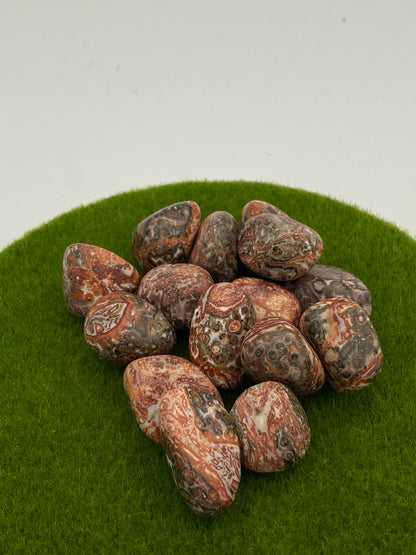 Red Silver Leaf Jasper