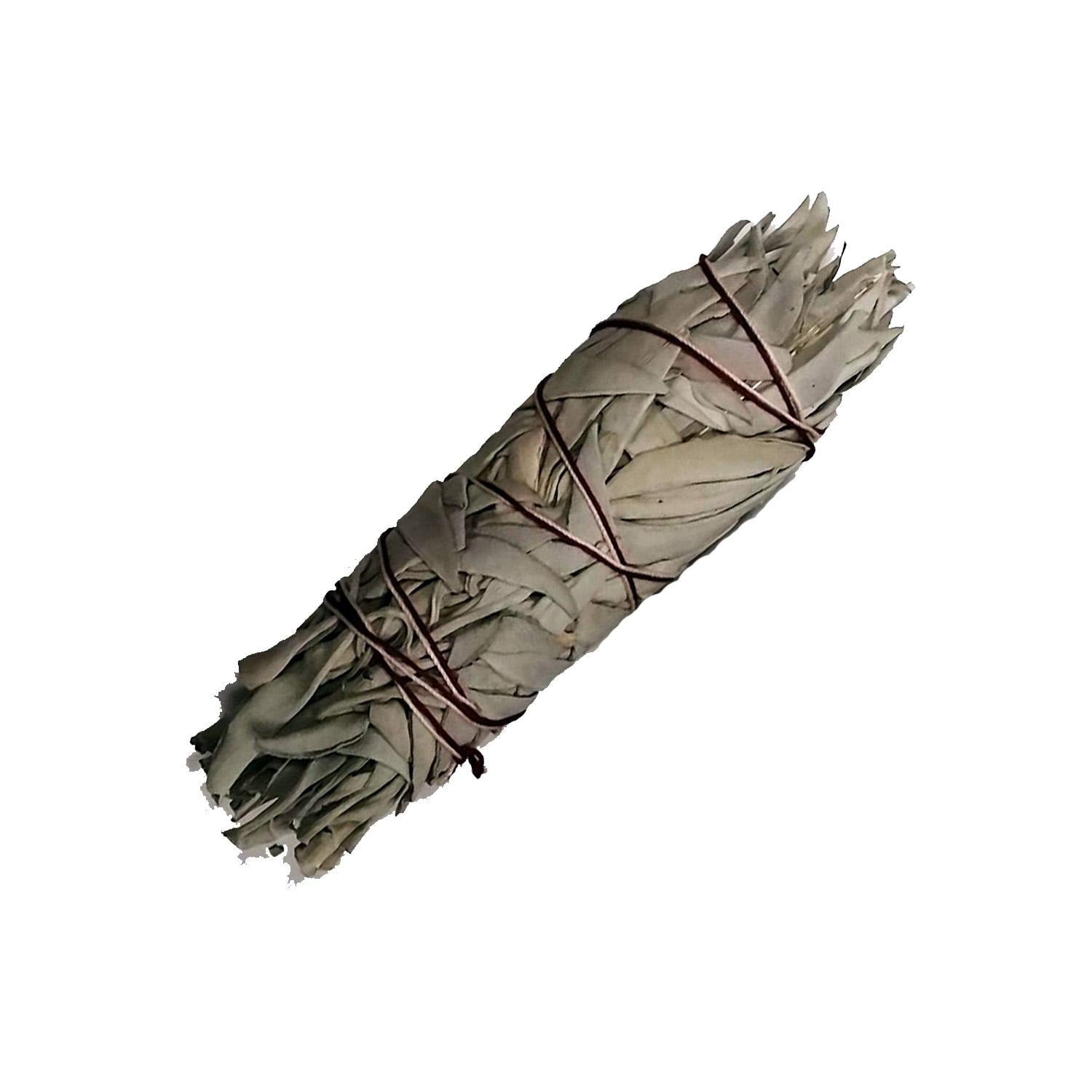 Californian White Sage for Clear Energy and Restore Balance