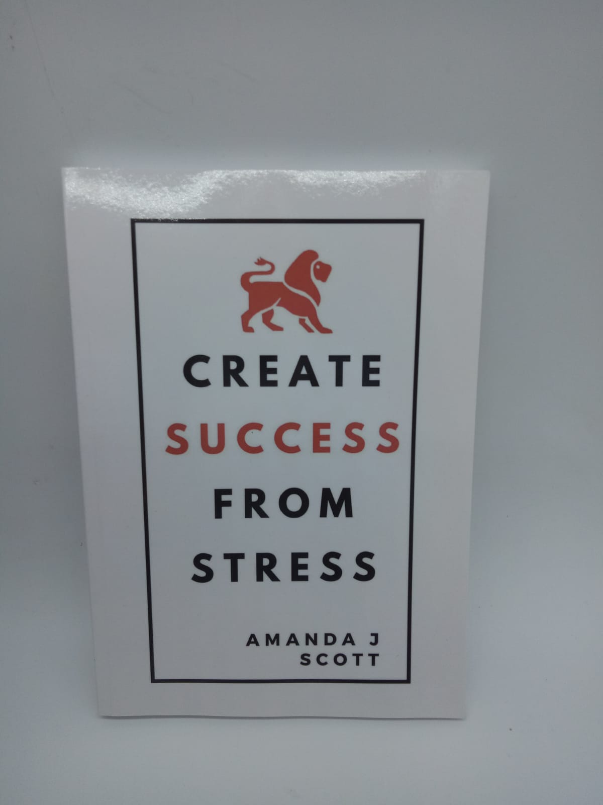 Create Success from Stress