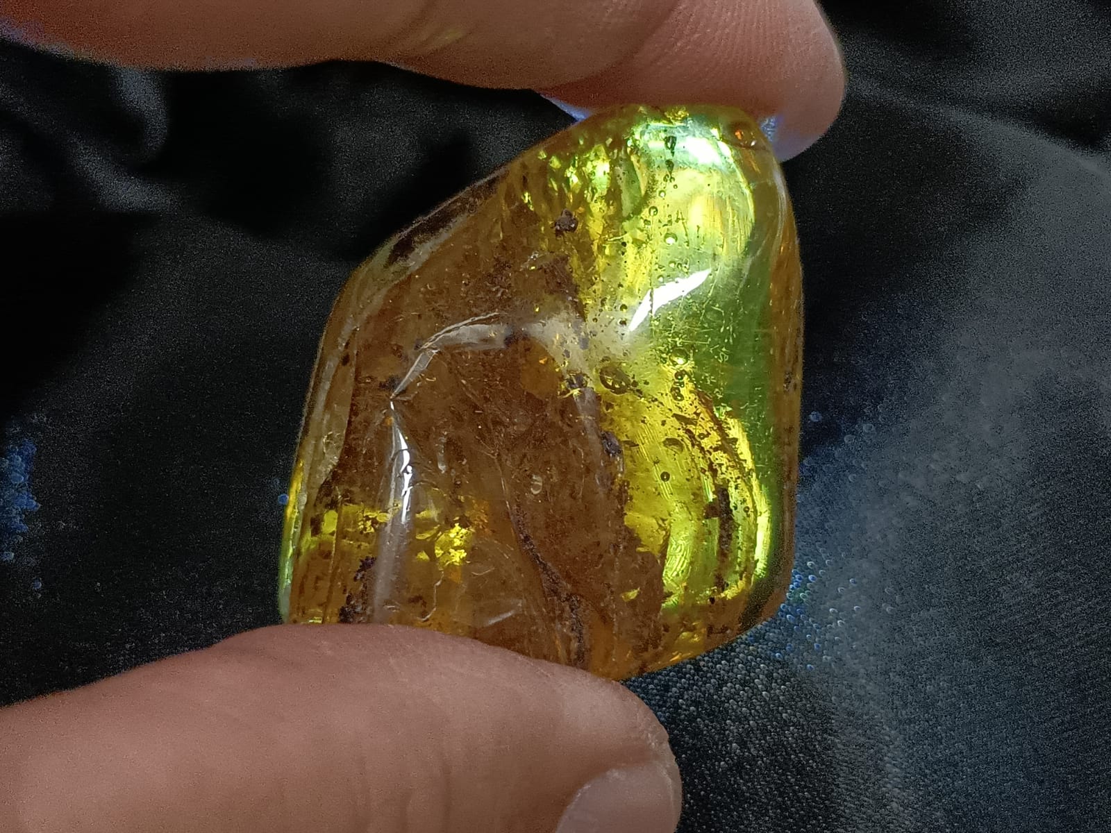 Baltic Amber Polished